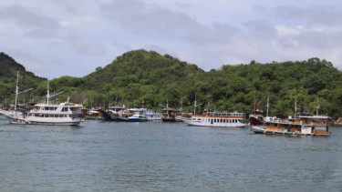 Pelayaran Wisata di Taman Nasional Komodo Dibuka Besok, KSOP Larang Berlayar Malam Hari
