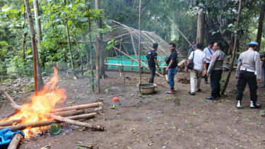 Polisi Ringkus Belasan Penjudi dan Musnahkan Lokasi Sabung Ayam di Ponorogo
