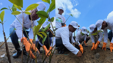 Serap Ribuan Ton CO₂, Program Penghijauan PNM Kian Masif: 374.839 Pohon Sudah Ditanam!