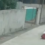 Detik-detik Mengerikan Siswi SD Terseret Motor Ratusan Meter Demi Pertahankan Ponsel dari Perampok di Medan