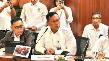 Resmi! Bulog Kantongi Margin Fee 7 Persen untuk Dukung Beras Satu Harga