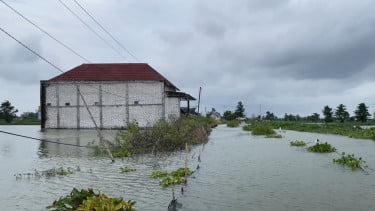 Percepat Penanganan Banjir, Dinas PU SDA Lamongan Fokus Bersihkan Enceng Gondok dan Optimalkan Pompa Air