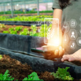 Mungkinkah Inovasi AI Pertanian Karya Pelajar Indonesia Mengubah Wajah Agrikultur Global?