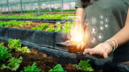 Mungkinkah Inovasi AI Pertanian Karya Pelajar Indonesia Mengubah Wajah Agrikultur Global?