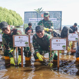 Kogabwilhan III Tanam 1.000 Pohon Mangrove sebagai Langkah Antisipasi Iklim