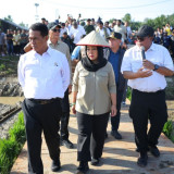 98 Ribu Hektare Sawah di Sumatera Rusak, Mentan Amran Pastikan Negara Turun Tangan: Rp75 Miliar Digelontorkan untuk Petani