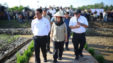 98 Ribu Hektare Sawah di Sumatera Rusak, Mentan Amran Pastikan Negara Turun Tangan: Rp75 Miliar Digelontorkan untuk Petani