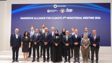 Indonesia–UEA Pimpin Agenda Iklim Global, 47 Negara Kumpul Bahas Restorasi Mangrove