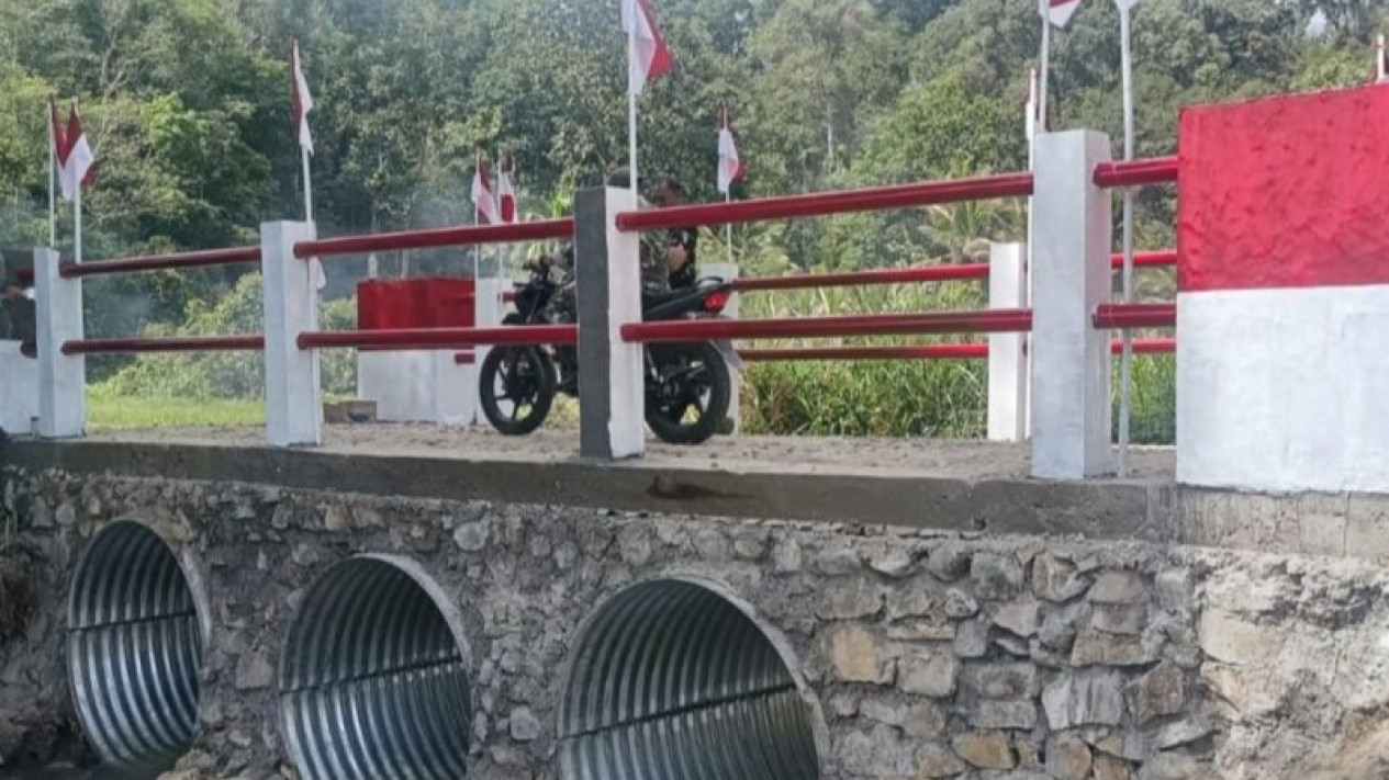 TNI Rampungkan Jembatan Aramco Demi Permudah Akses Warga di Tapanuli Utara
            - galeri foto