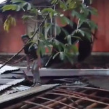 Hanya 5 Menit Hujan Deras, Puluhan Rumah di Banyumas Jateng Luluh Lantak Diterjang Puting Beliung