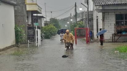 Bekasi Dikepung Banjir Akibat Diguyur Hujan Seharian, Puluhan Desa dan Lahan Padi Kebanjiran