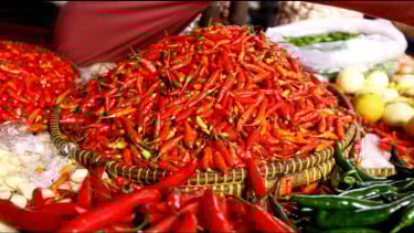 Harga Bahan Pangan Hari Ini Turun Serentak, Cabai hingga Daging Merosot, Tongkol Malah Naik