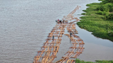 Peredaran 600 Batang Kayu Ilegal di Kalbar Berhasil Digagalkan