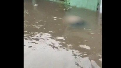 Viral Video Mayat Lansia Mengambang saat Banjir Landa Bekasi, BPBD Ungkap Fakta Sebenarnya