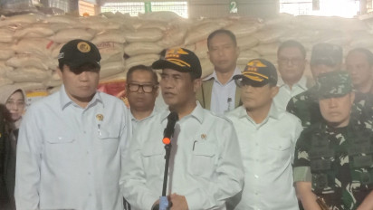 Mentan Cek 1.000 Ton Beras Selundupan Sitaan DJBC Khusus Kepri di Karimun