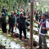 Ratusan Ojol di Wonosobo Hijaukan Lereng Telaga Menjer, Tanam 10 Ribu Bibit Kopi