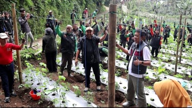 Ratusan Ojol di Wonosobo Hijaukan Lereng Telaga Menjer, Tanam 10 Ribu Bibit Kopi