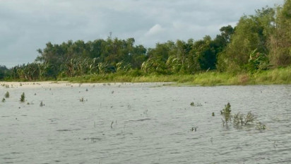 Kabar Gembira, Klaim Asuransi Petani Gagal Panen Akibat Banjir di Jateng Sebentar Lagi Cair