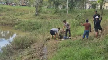Detik-Detik Menegangkan Polisi Duel Lawan Buaya 3 Meter Demi Selamatkan Nyawa Seorang Ibu di Tarakan