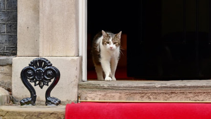 Larry the Cat Bikin Diplomasi Prabowo–PM Starmer Makin Cair di Downing Street Inggris