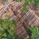 Gakkum Telusuri Rakit Kayu Ilegal Sungai Pawan, 1.500 Batang Disita di Hutan Ulak Medang