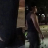 Oknum ASN Diduga Tebang Pohon Ilegal di Kebayoran Lama, Sudah Diperiksa Lalu Dimutasi