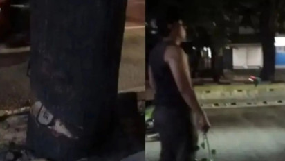 Oknum ASN Diduga Tebang Pohon Ilegal di Kebayoran Lama, Sudah Diperiksa Lalu Dimutasi