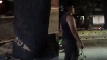 Oknum ASN Ketahuan Buang Sisa Penebangan Ilegal ke Selokan di Kebayoran Lama, Terancam Penjara atau Denda Rp50 Juta