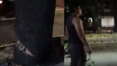 Oknum ASN Ketahuan Buang Sisa Penebangan Ilegal ke Selokan di Kebayoran Lama, Terancam Penjara atau Denda Rp50 Juta