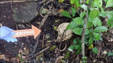 Geger Warga Kulon Progo Temukan Kerangka Manusia di Gunung Tugel, Lokasinya Jauh dari Permukiman Warga