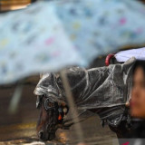 Banyak Orang yang Selama Ini Salah soal Hubungan Hujan dan Sakit