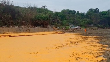 Pemandangan 'Mengerikan' Ribuan Ton Minyak Tumpah di Laut Sumenep, Aktivis Pecinta Alam Beberkan Ancaman Besar