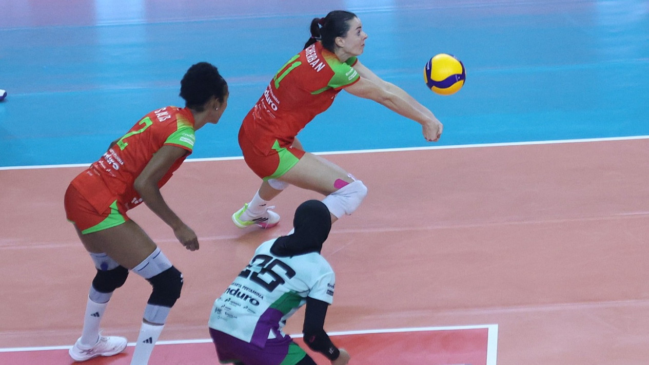 Link Live Streaming Proliga 2026: Megawati Hangestri Cs Hadapi Bandung BJB Tandamata, Gresik Phonska Siap Sapu Bersih Kemenangan
            - galeri foto