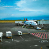 Kabar Gembira, Pelita Air Tebar Diskon Besok