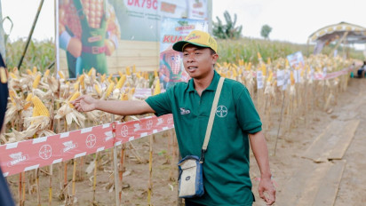 Panen Raya di Grobogan dan Kendal Jateng, Produksi Jagung Petani Lampaui Rata-Rata Nasional