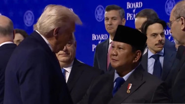 Indonesia Gabung Dewan Perdamaian Gaza, Komisi I DPR Sebut Sejalan dengan Politik Bebas Aktif