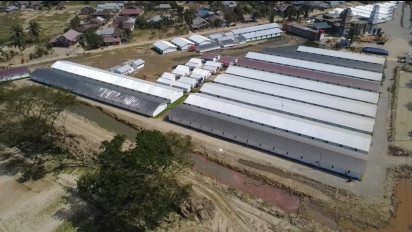 Pemulihan Pascabencana di Aceh Tamiang, Pemerintah Pastikan Warga Terima Bantuan Huntara Sesuai Kebutuhan