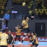 Jadwal AVC Champions League 2026 di Pontianak: Digelar Lima Hari, Jakarta Bhayangkara Presisi dan Garuda Jaya Siap Unjuk Gigi