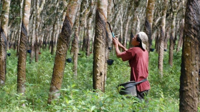 Komisi VII DPR RI Tekankan Pentingnya Nilai Tambah di Sektor Karet