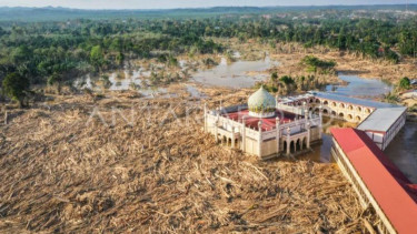 Cegah Penjarahan, Pemprov Aceh Bentuk Tim Khusus Kelola Kayu Banjir dan Longsor