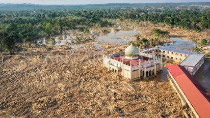 Cegah Penjarahan, Pemprov Aceh Bentuk Tim Khusus Kelola Kayu Banjir dan Longsor