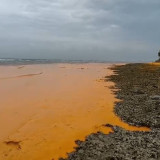 Tongkang Bermuatan CPO Kandas di Gili Iyang, Nelayan Khawatir Pencemaran Laut