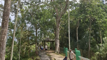 BUMD Jajaki Kerja Sama Pengelolaan Jasa Lingkungan