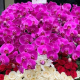 Gibran Kirim Bunga Ulang Tahun ke Megawati, PSI: Bentuk Hormat dan Rendah Hati