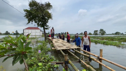 Dua Bulan Terisolir Akibat Banjir, Korban Banjir di Lamongan Bangun Jembatan Darurat