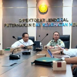 Gorontalo siap Kelola Program Hilirisasi Peternakan