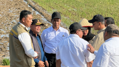 Berperan Strategis Menstabilisasi Harga di Wilayah Terdampak Bencana, Bulog dan Bapanas Dapat Apresiasi Mendagri