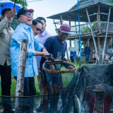 Menko Bidang Pangan Kunjungi Kampung Bandeng di Gresik, Perkuat Stabilitas Harga hingga Transformasi Bandeng Pangkah Wetan