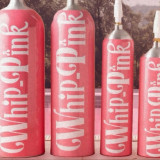 Tabung Pink Whip Pink Disorot DPR saat RDP dengan BNN, Ancaman Baru Penyalahgunaan Gas Euforia Mencuat