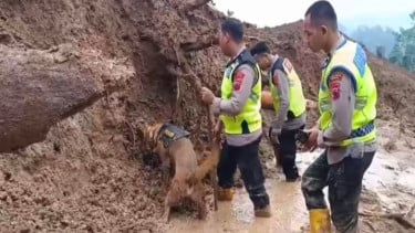 Bantu Upaya Pencarian Korban Longsor, Polres Pemalang Kerahkan Anjing Pelacak